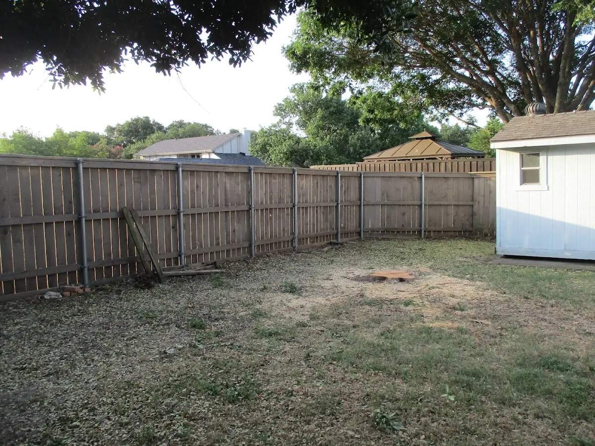 Cleared yard after professional tree removal in Mizpah